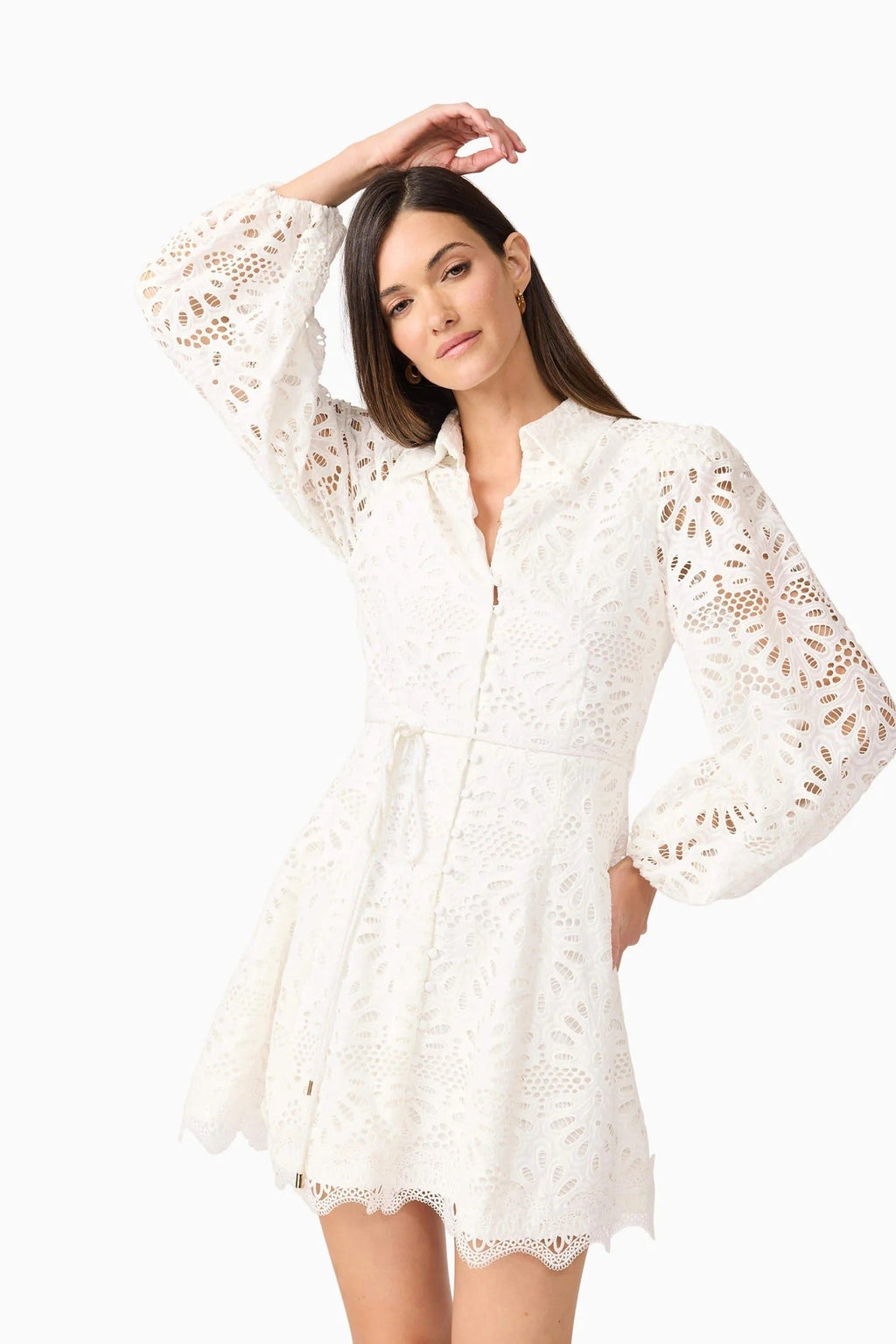 Lapel Hollow Embroidery Puff Sleeve Mini Dress In White Flowering Girl