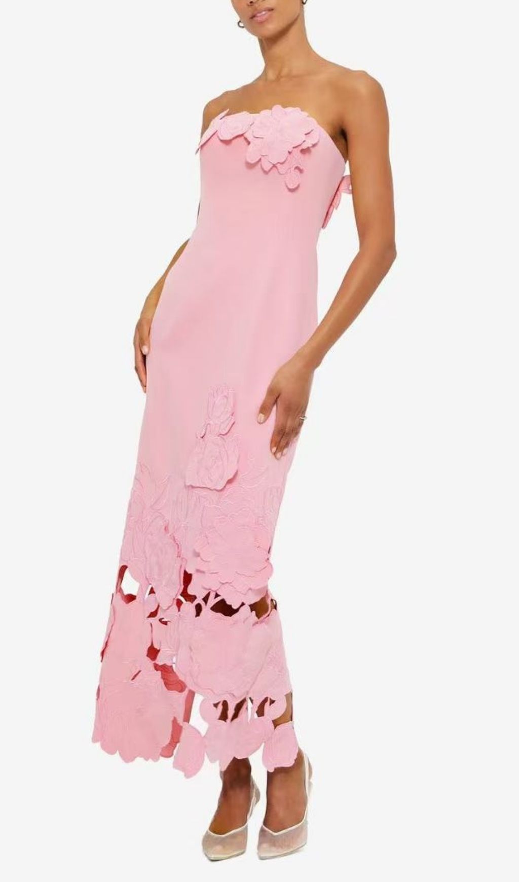 Rayna Appliqué Bustier Maxi Dress Flowering Girl