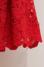 Burgundy Lace Collared Mini Dress Flowering Girl