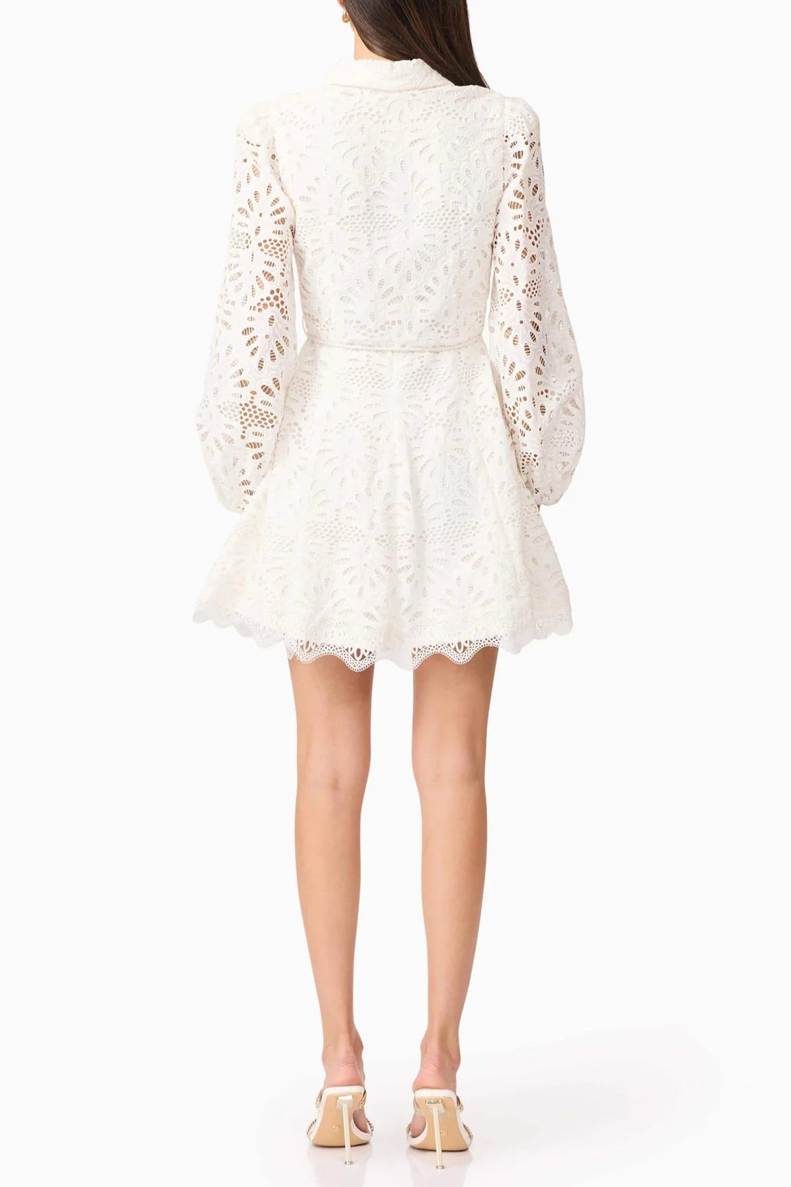 Lapel Hollow Embroidery Puff Sleeve Mini Dress In White Flowering Girl