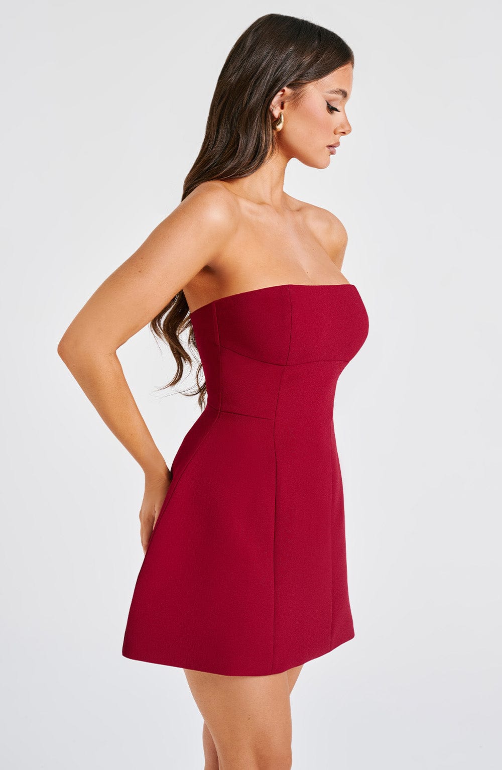 Asha Mini Dress - Wine Flowering Girl