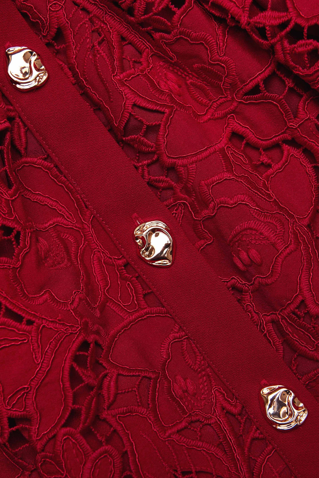 Burgundy Lace Collared Mini Dress Flowering Girl