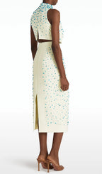 Danail Embellished Top & Midi Skirt Flowering Girl