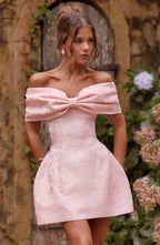 Raquel Mini Dress - Blush Flowering Girl
