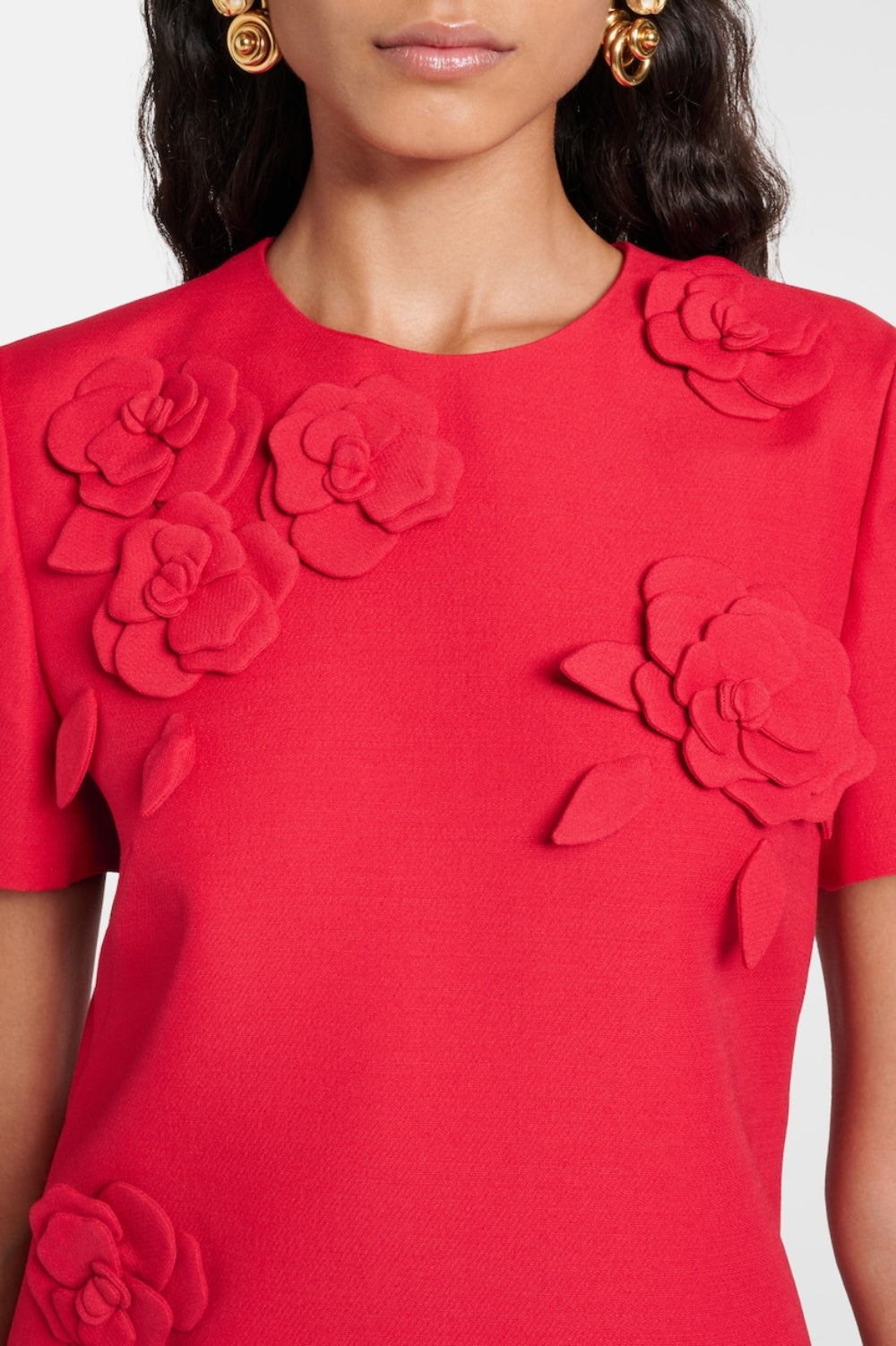 Eleanor Floral Appliqué Mini Dress Flowering Girl