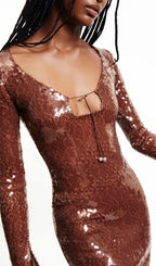 Ardelle Brown Sequin Maxi Dress