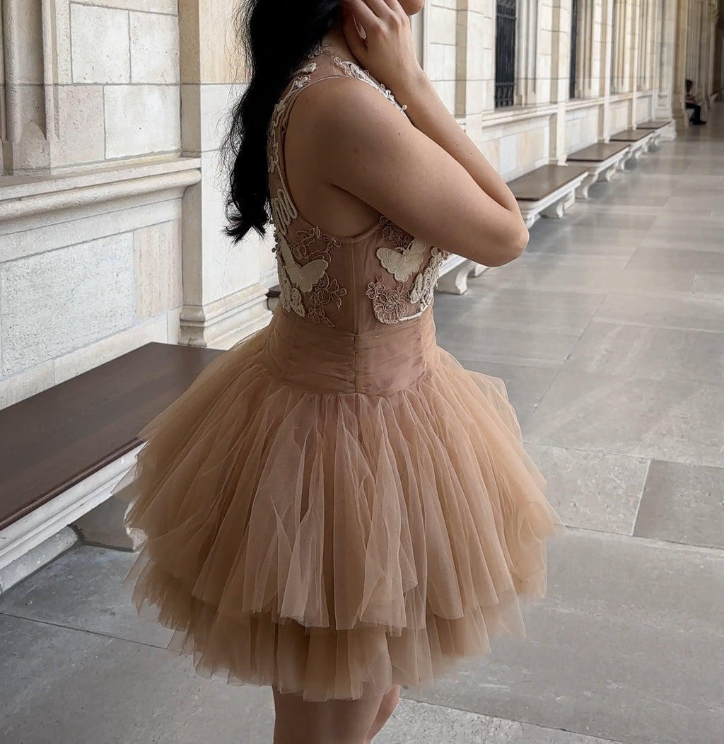 Ballerina | Beige Tulle Mini Dress With 3D Applique Flowering Girl