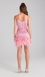 Pink Tassel Feather Mini Dress Flowering Girl