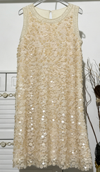 Cream Mesh Base with All-Over Sequins Shift Dress Flowering Girl