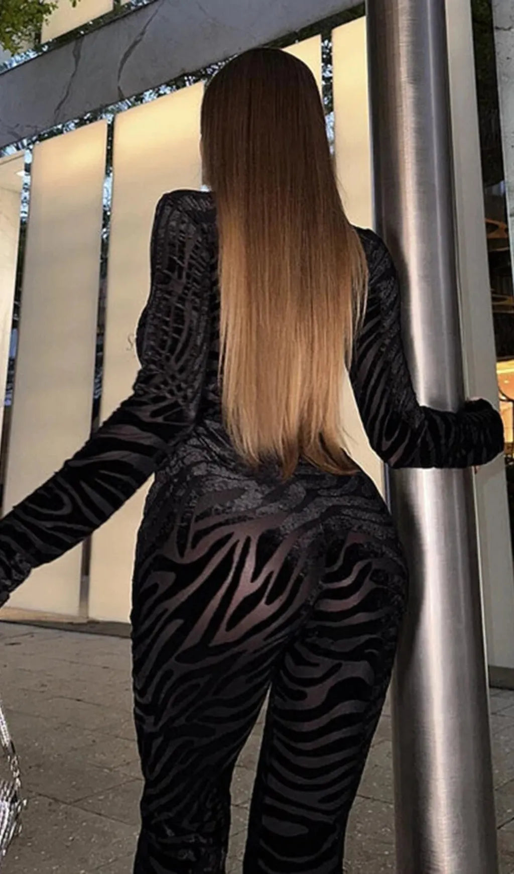 Zebra Print Sheer Carved Velvet Jumpsuit Set