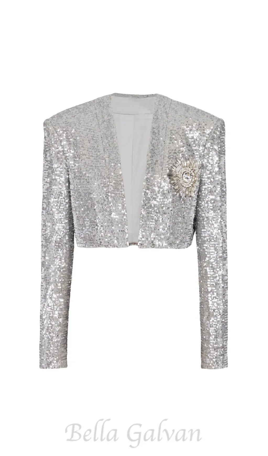 Sequin Cropped Blazer in silver Flowering Girl