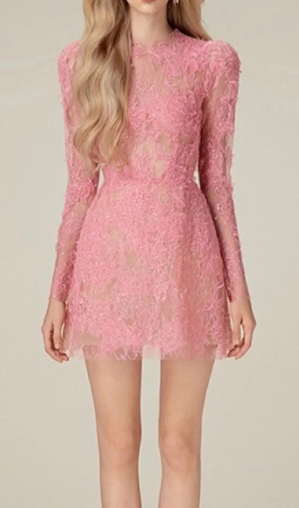 Adri Lace Embroidery Mini Dress Flowering Girl