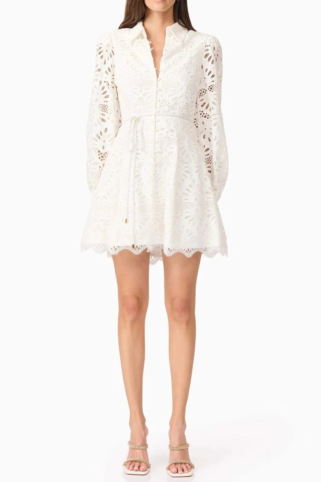 Lapel Hollow Embroidery Puff Sleeve Mini Dress In White Flowering Girl