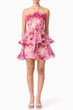 Evalina Floral Mini Dress In Pink Flowering Girl