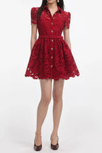 Burgundy Lace Collared Mini Dress Flowering Girl