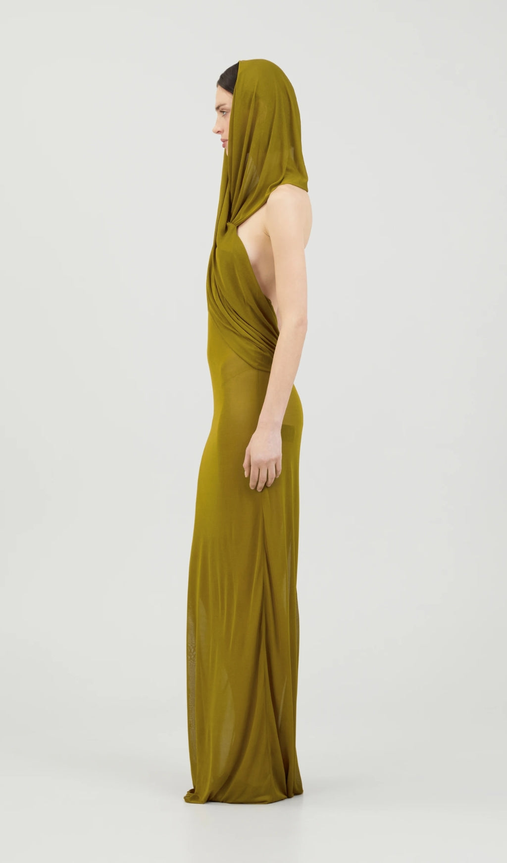 Ginger Sheer Evening Gown With Draped Hood