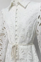 Lapel Hollow Embroidery Puff Sleeve Mini Dress In White Flowering Girl