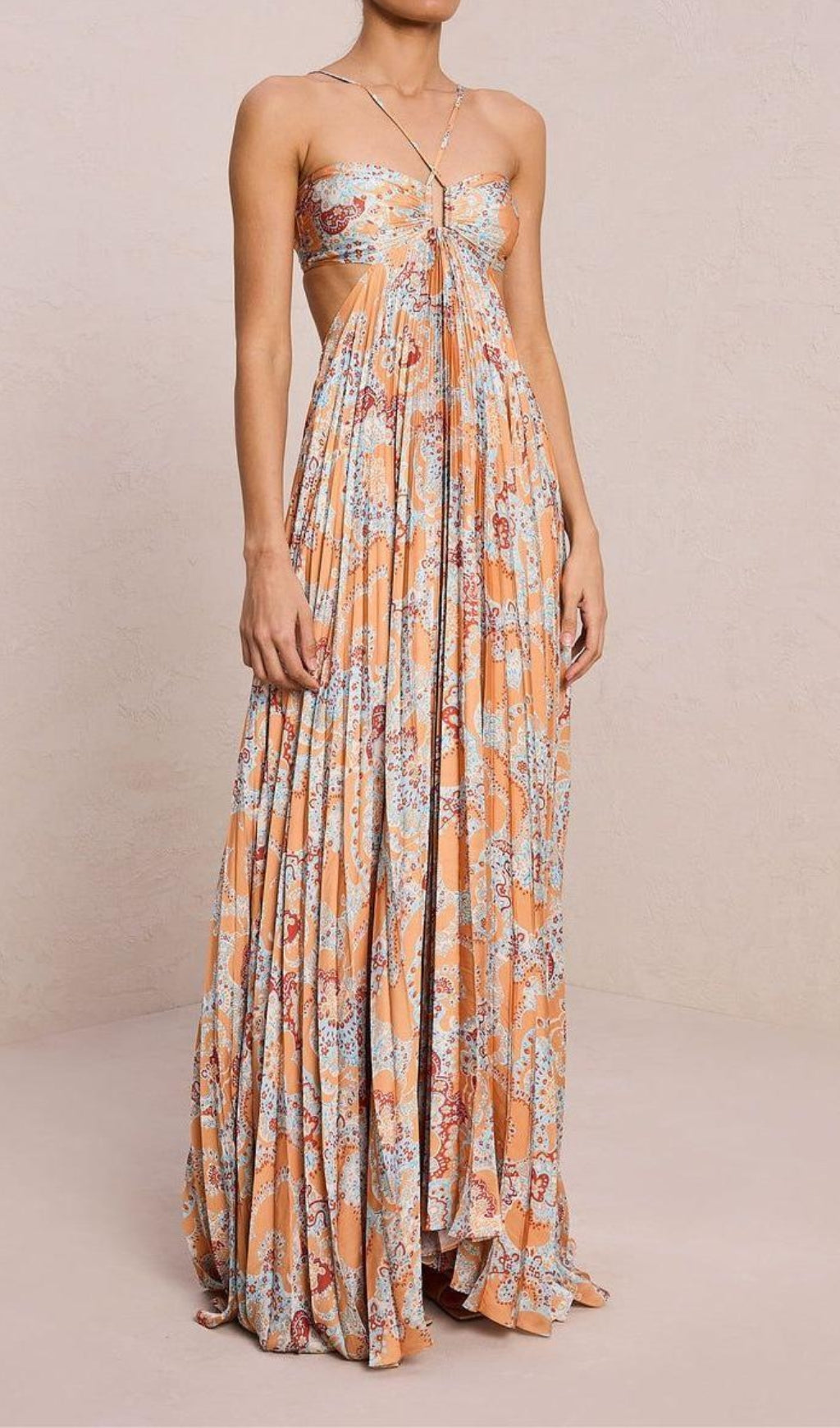 Dorisa Printed Backless Maxi Dress Flowering Girl