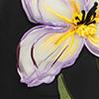 Rosario Appliqué Floral Bustier Mini Dress in black Flowering Girl