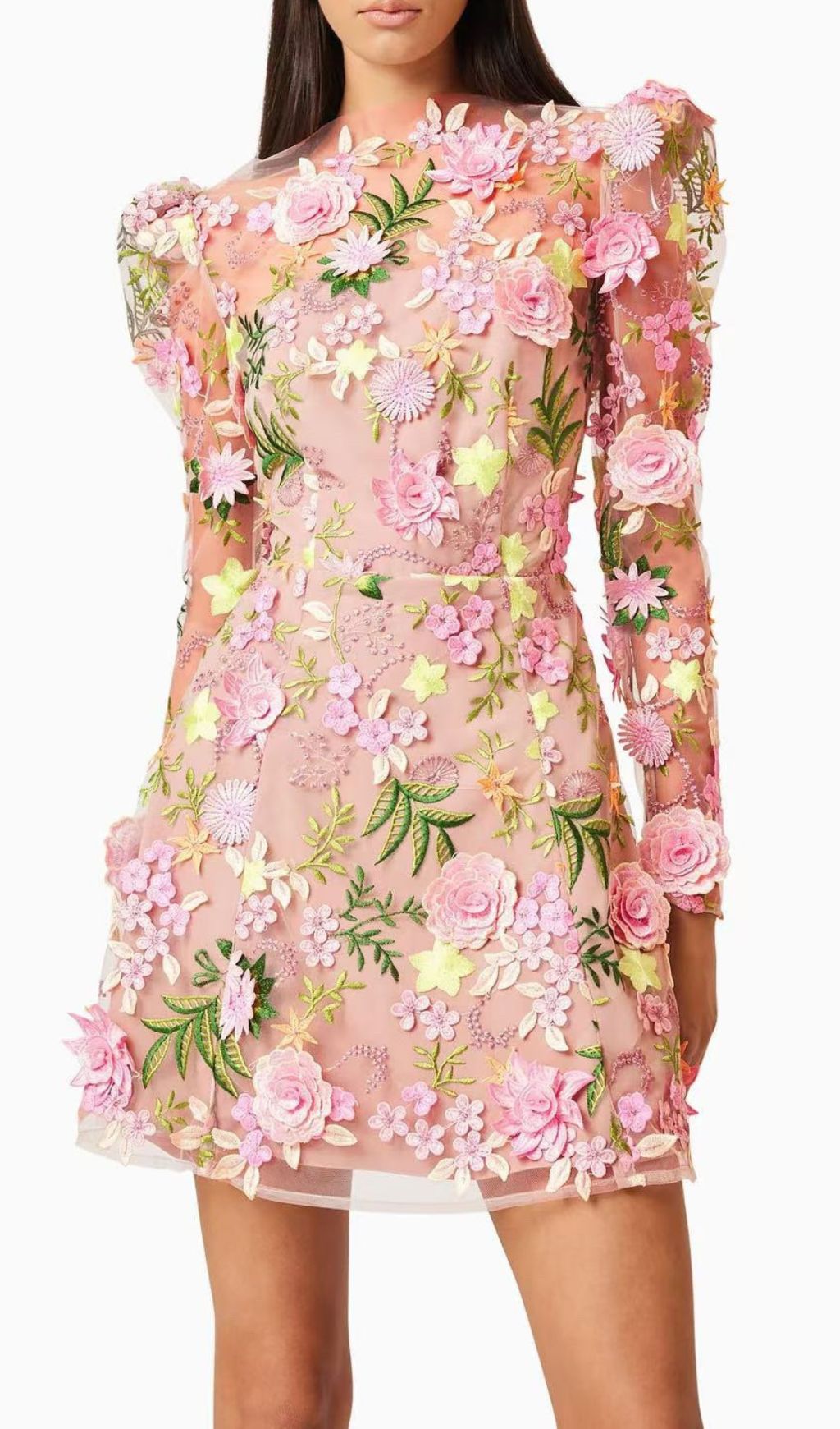 Emrys Flower Embroidery Long Sleeve Mini Dress Flowering Girl