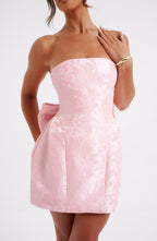 Elenora Mini Dress - Blush Flowering Girl