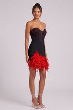 Black Bodycon Mini Dress with Red Feather Trim Flowering Girl