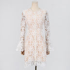 Embroidered Hollow Mini Dress In White Flowering Girl