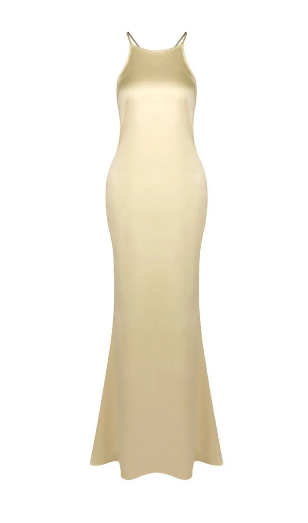 Laure Light Gold Backless Maxi Dress Flowering Girl