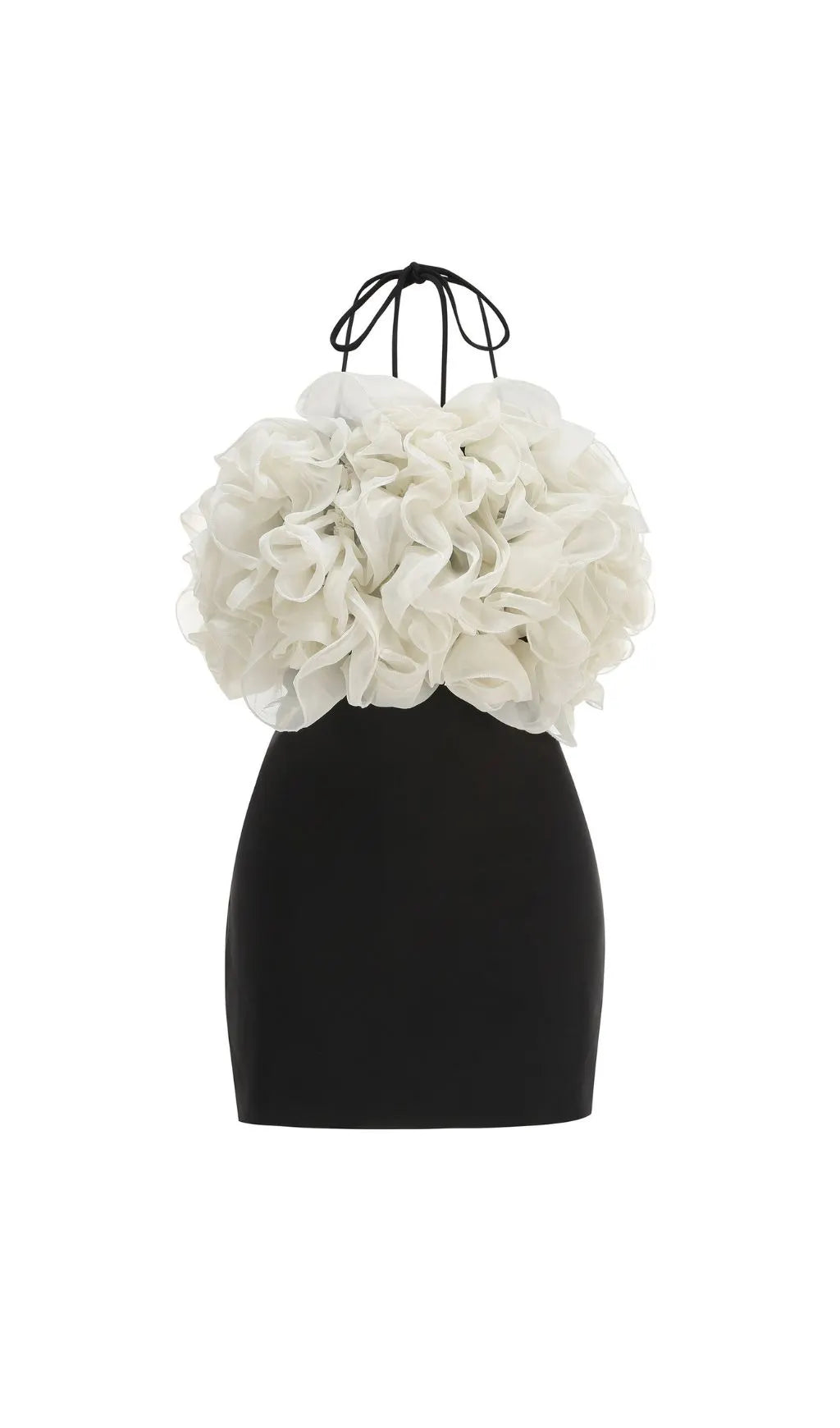 Jameela Black Halter Ruffle Mini Dress Flowering Girl