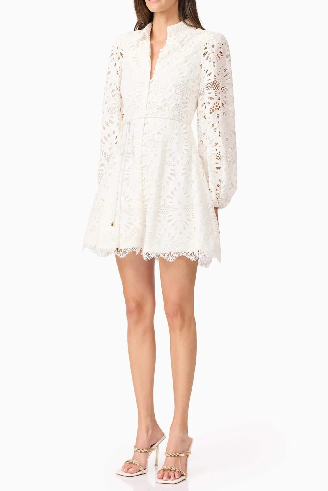 Lapel Hollow Embroidery Puff Sleeve Mini Dress In White Flowering Girl