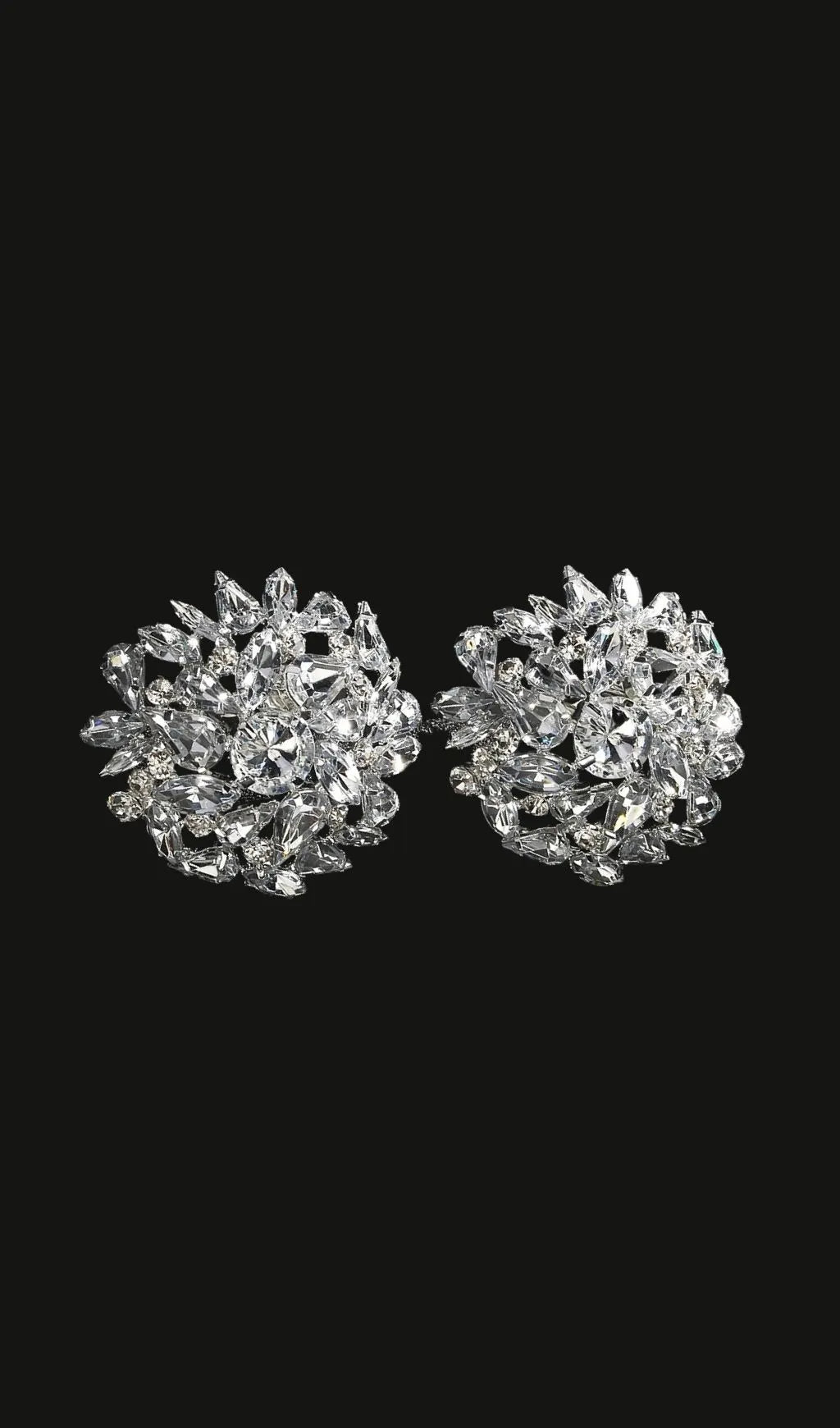 Lysander Circle Rhinestone Earrings Flowering Girl