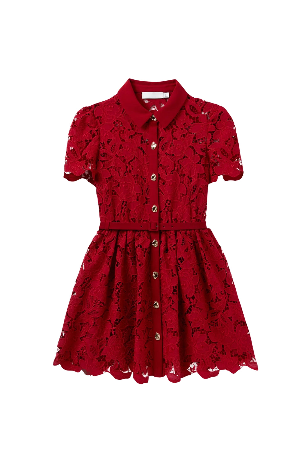 Burgundy Lace Collared Mini Dress Flowering Girl