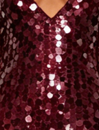 Burgundy Sequined Mesh Sheath with Flared Sheer Lower Skirt Evening Dress Flowering Girl