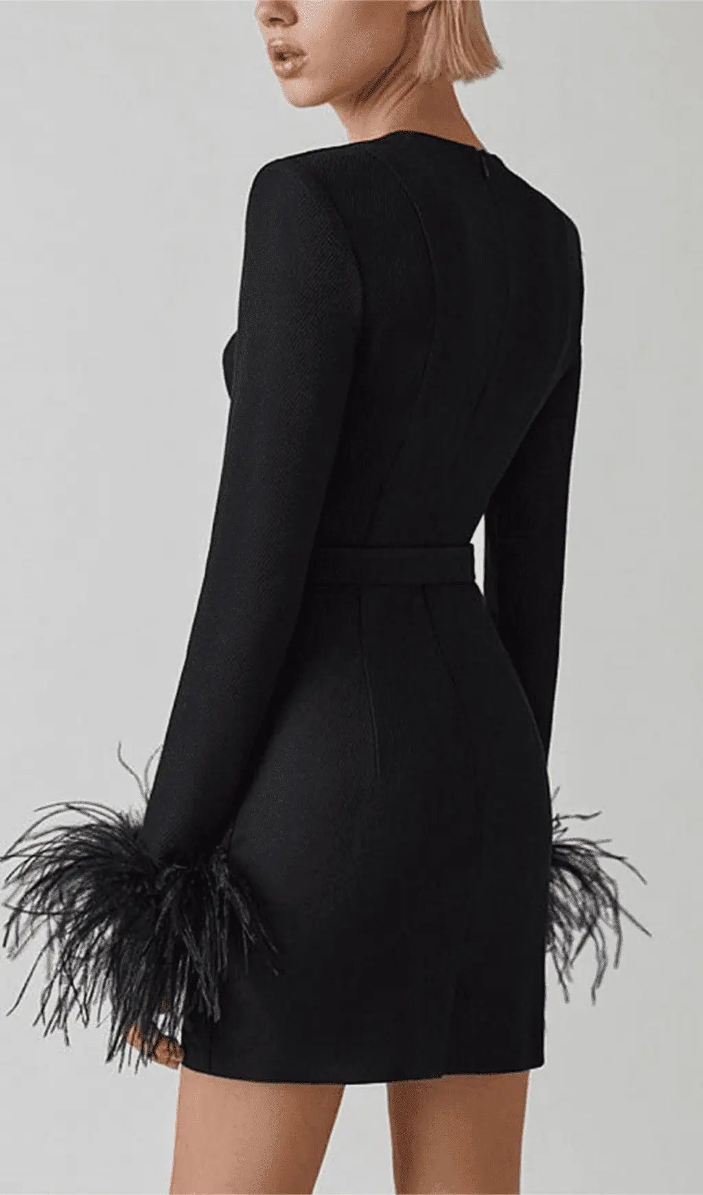 Stretch Long Sleeves Feather Mini Dress In Black Flowering Girl