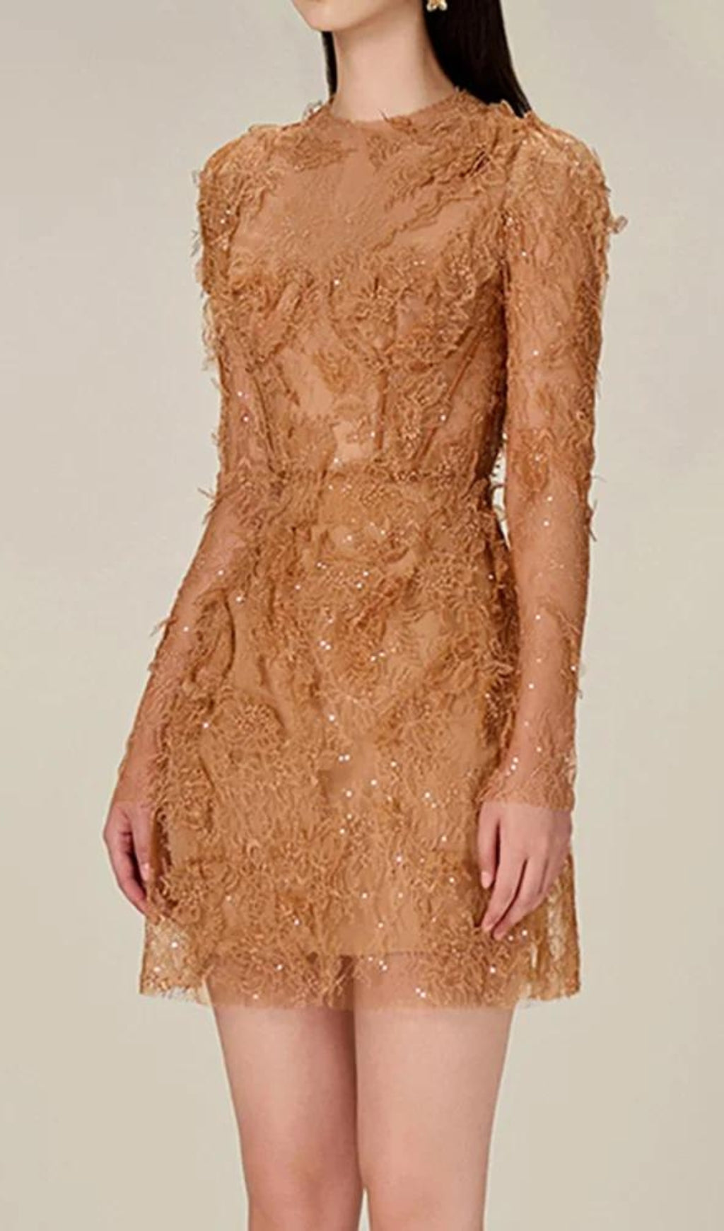Adri Lace Embroidery Mini Dress Flowering Girl